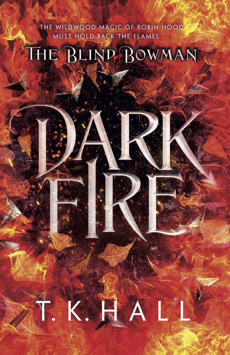 Dark Fire (The Blind Bowman 2)&nbsp;Review